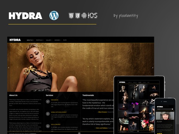 Hydra WordPress theme by pixelentity