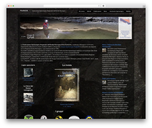 Theme WordPress Modularity Lite - fsrer.it/site