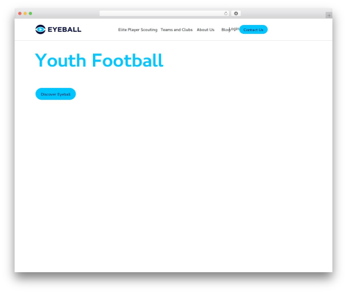 Smooth scrolling with lenis WordPress plugin - eyeball.club
