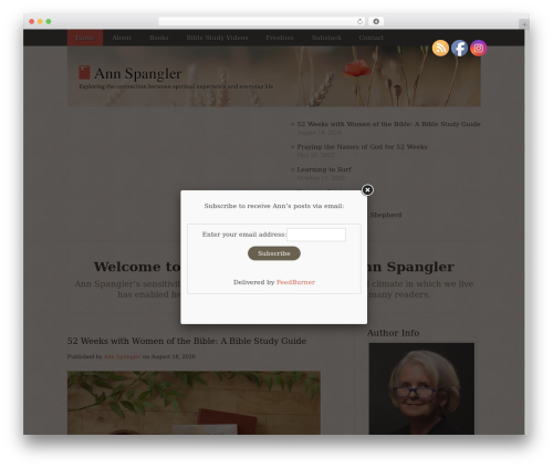 Ann Spangler Custom Theme WP theme - annspangler.com
