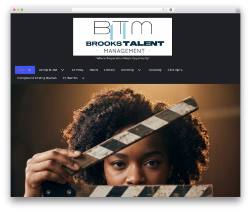 elemento WordPress theme - brookstm.com