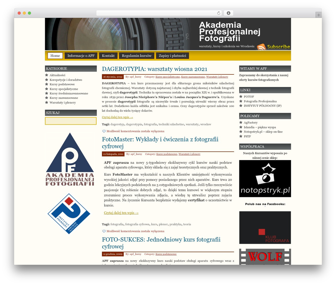 Prosumer theme WordPress - apf.pl