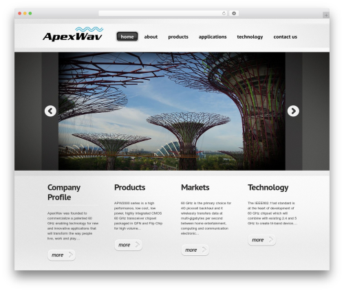 WordPress Theme 1265 WordPress website theme - apexwav.com