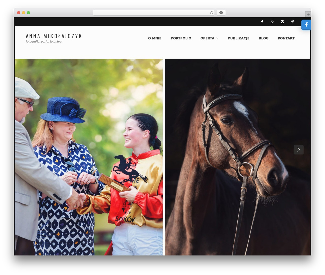 Bluebird Theme WordPress theme - annamikolajczyk.pl