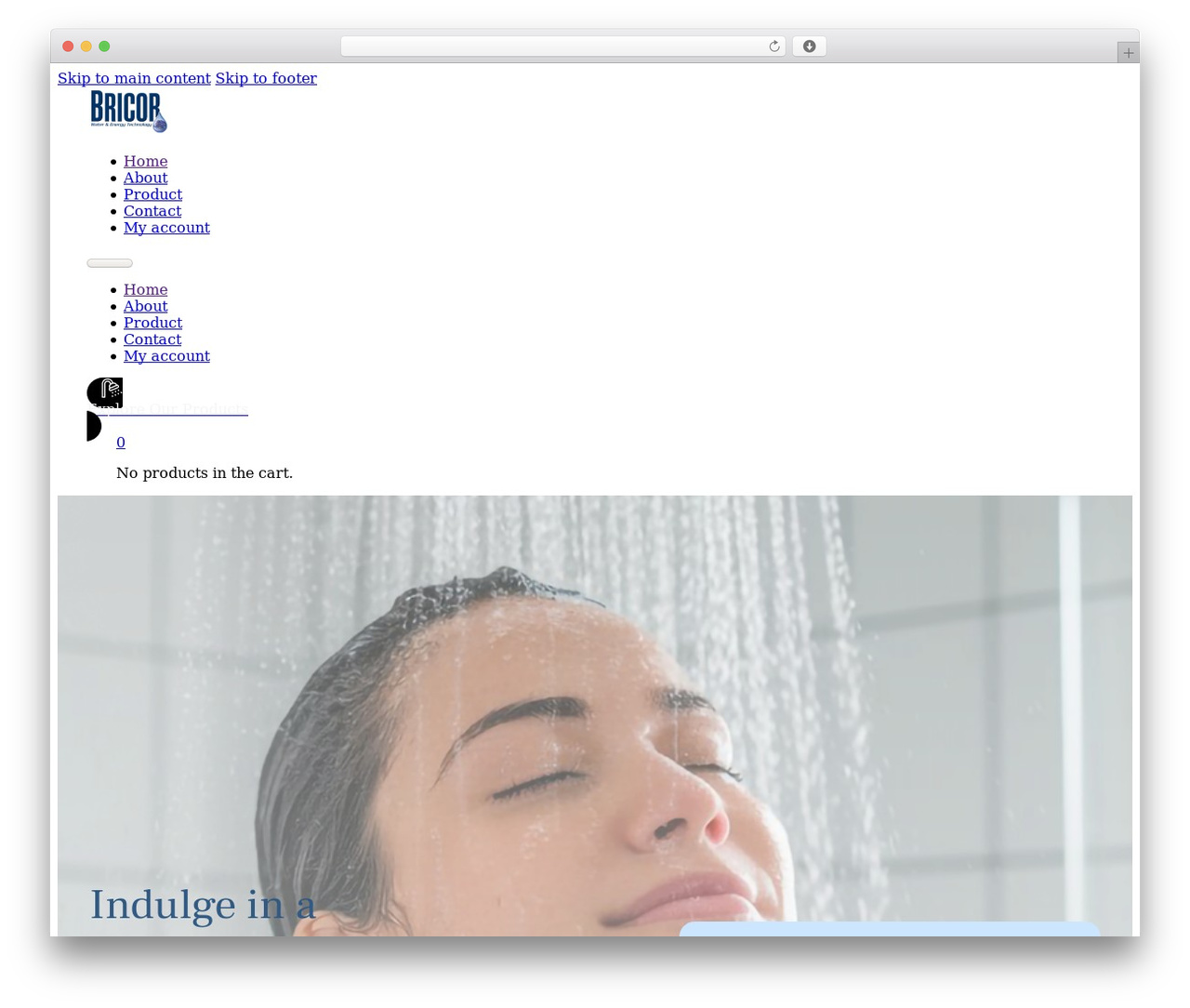Bricks WordPress theme - bricor.com