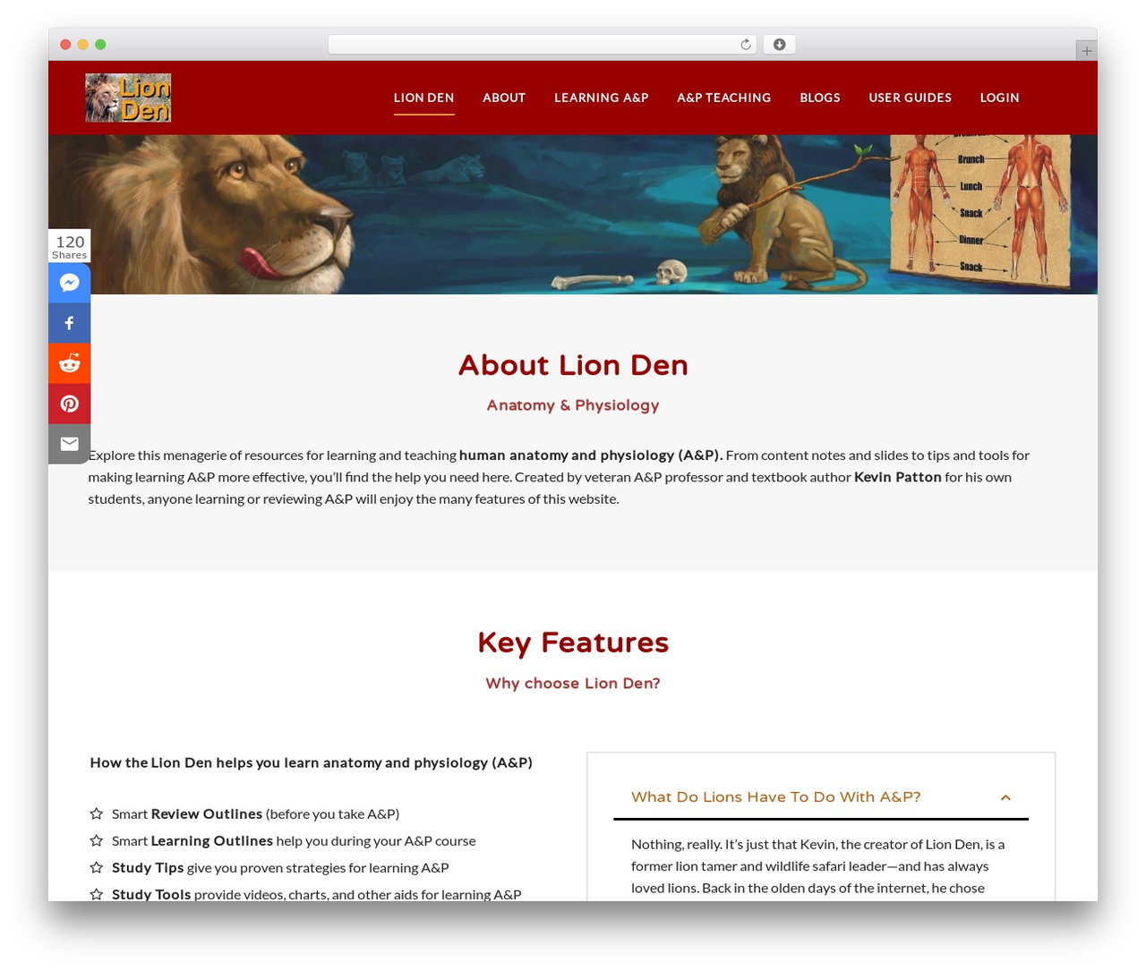soledad WordPress theme - lionden.com soledad WordPress theme - lionden.com