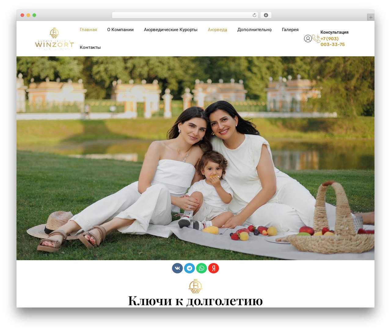 TripRex WordPress theme - winzort.ru