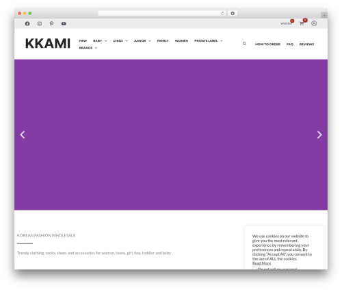 Prevent XSS Vulnerability (prevent-xss-vulnerability) free WordPress plugin - kkami.nl