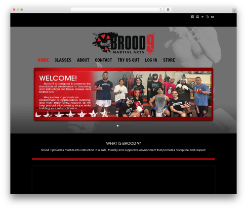WordPress theme Brood9 - brood9.com