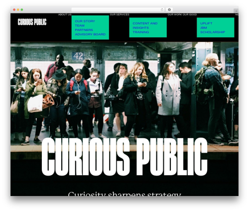 Smart logo showcase WordPress plugin - curiouspublic.com