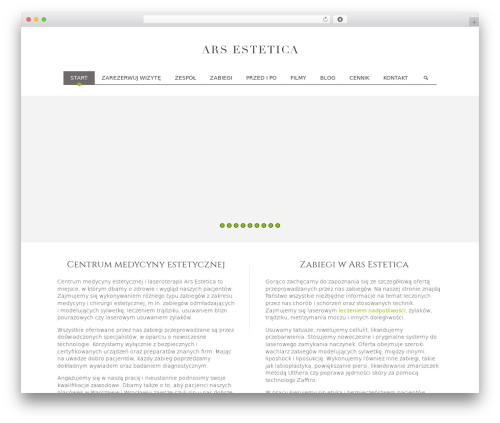 ars WordPress theme - arsestetica.pl