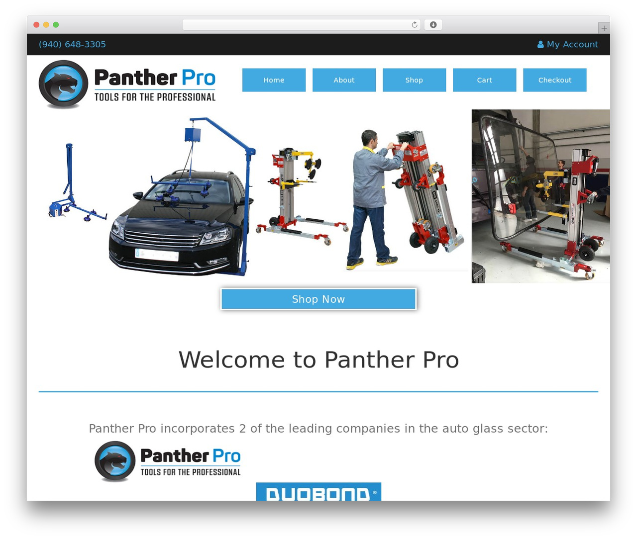 Bootstrap Basic Child free WordPress theme - panther-pro.com