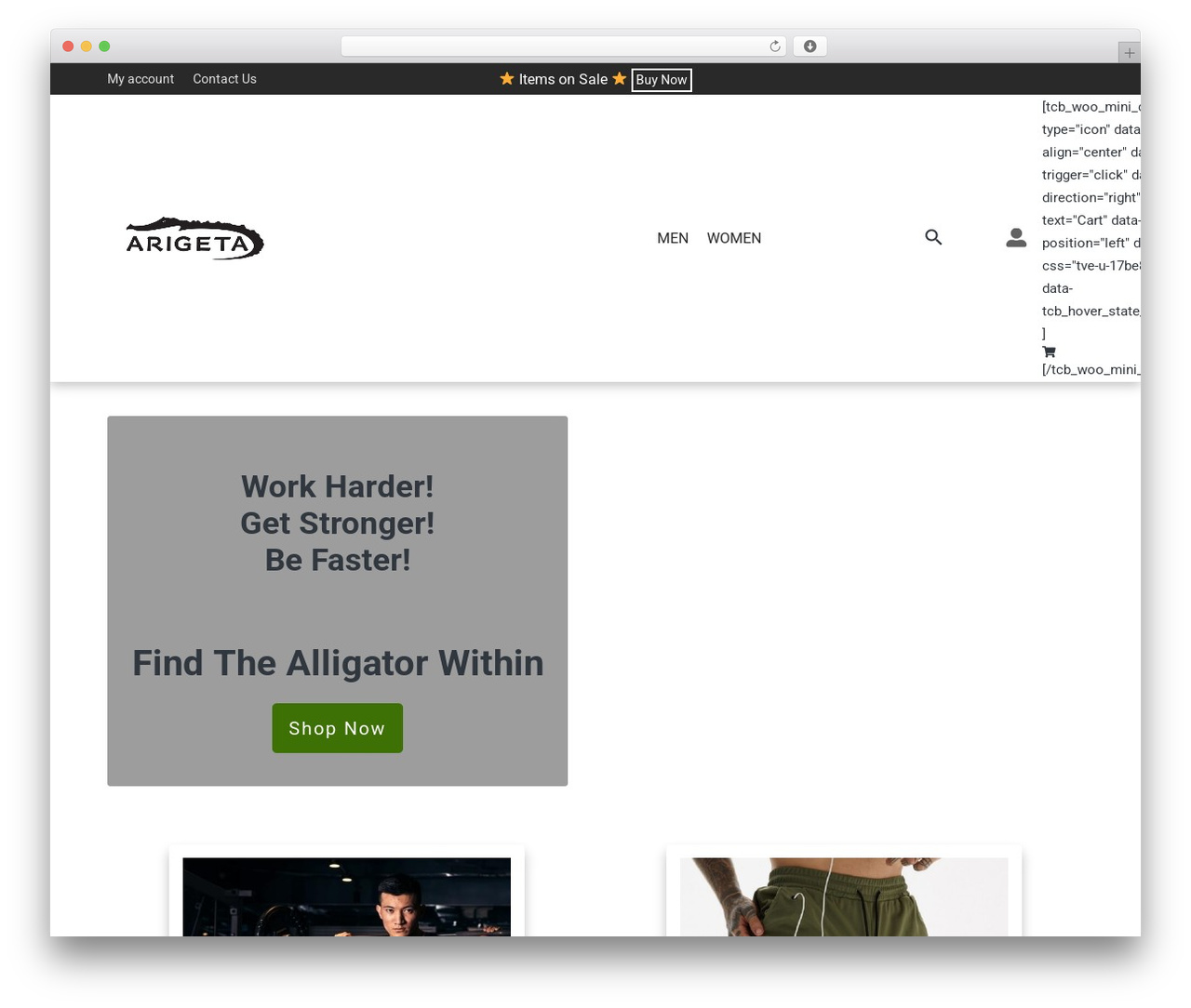 Sinatra top WordPress theme - arigeta.com Sinatra top WordPress theme - arigeta.com