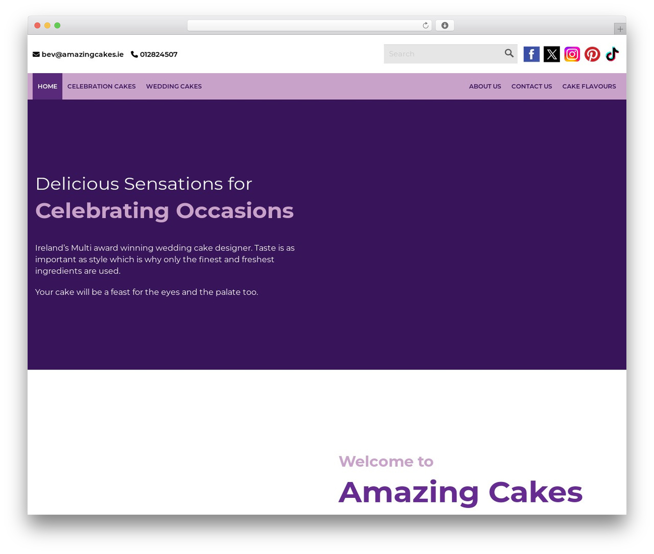 Theme WordPress Website - amazingcakes.ie