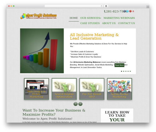 WP theme Catalyst - apexprofitsolutions.com