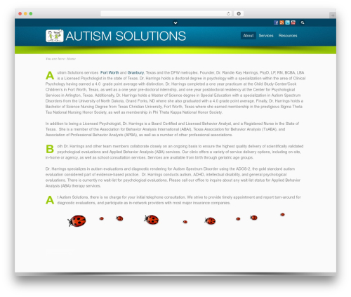 Flare WordPress Theme WordPress theme - autismsolutions.org