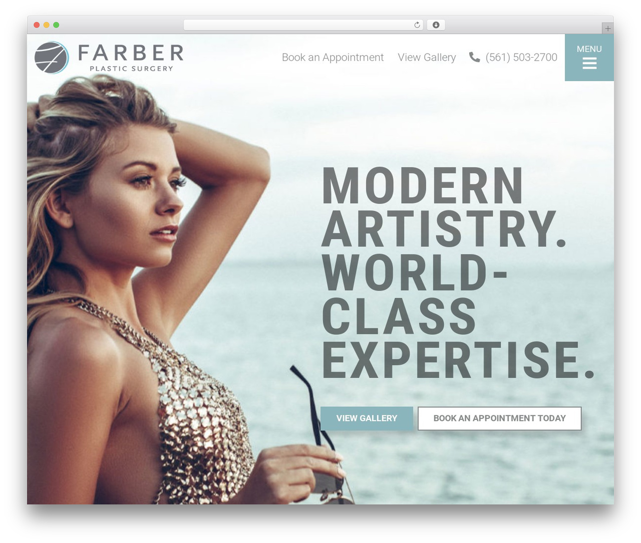 WordPress theme Farber - farberplasticsurgery.com