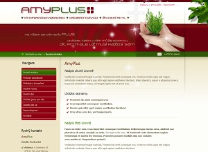 Amyplus WordPress theme by : P. P?ha & O. Korolus