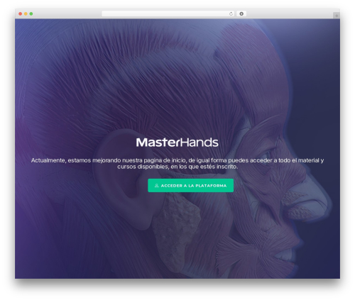 Masterstudy elementor widgets WordPress plugin - masterhands.club