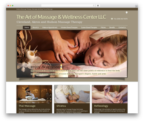 Wordpress customer reviews WordPress plugin - artofmassagewellnesscenter.com