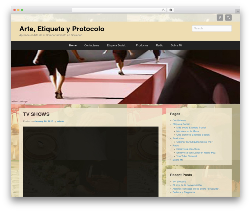 MP3 Audio Player (mp3-audio-player) free WordPress plugin - arteyetiqueta.com