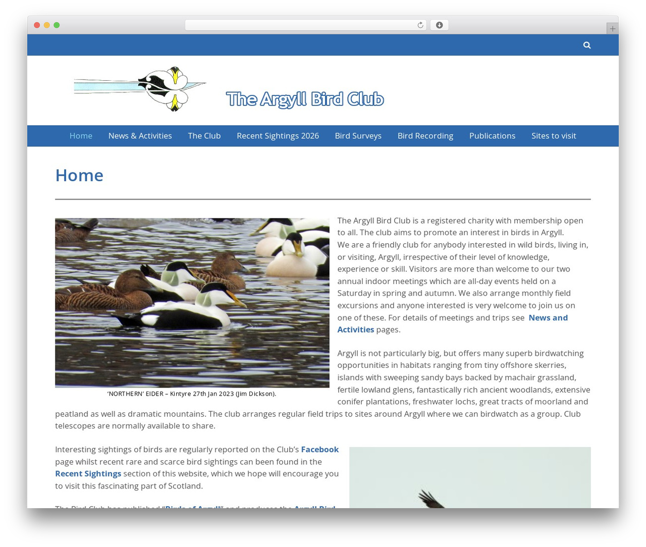 Influential Lite theme WordPress - argyllbirdclub.org