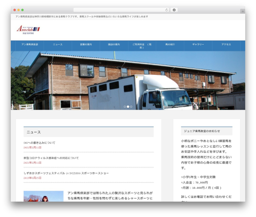 Lightning skin variety WordPress plugin - ann-riding-club.com