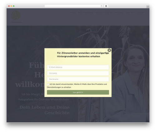 Simple Newsletter Plugin – Noptin (newsletter-optin-box) free WordPress plugin - zitronenfalter.at