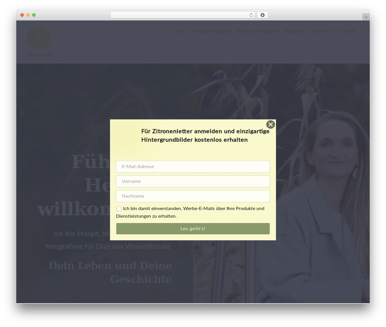 Themify Ultra WordPress theme - zitronenfalter.at Themify Ultra WordPress theme - zitronenfalter.at