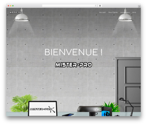 Themo WordPress theme - mister-pro.com