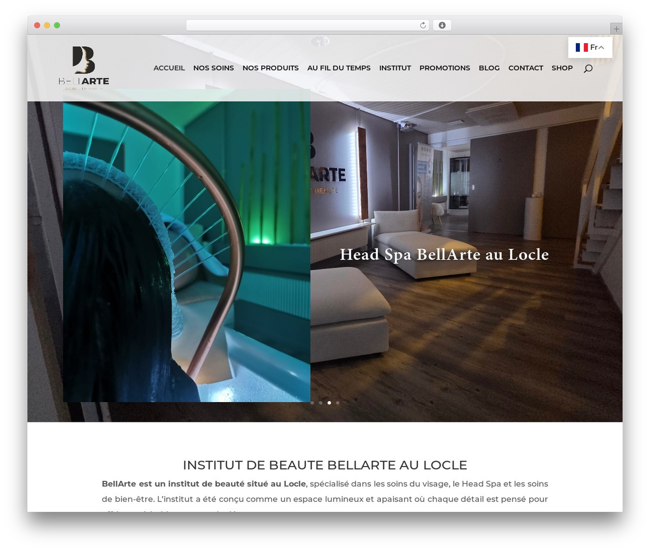 WP theme Divi - institut-bellarte.ch WP theme Divi - institut-bellarte.ch