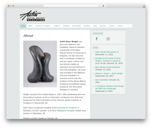 Theme WordPress Comet - autinwright.com Theme WordPress Comet - autinwright.com