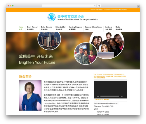 Theme WordPress ASEEA - aseea.com