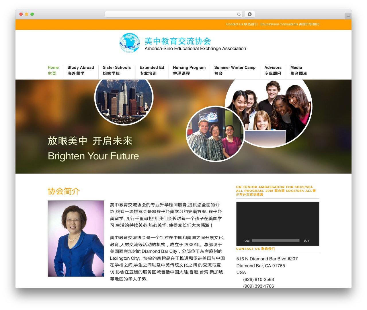 Theme WordPress ASEEA - aseea.com