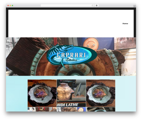 Js_composer_5.0.1 WordPress plugin - capraristudios.com