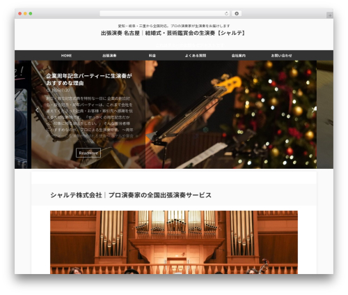 St blocks WordPress plugin - sharte.jp