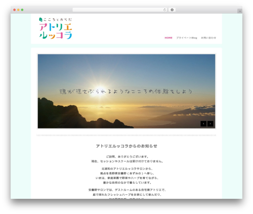 WordPress theme Bizz - atoruco.com