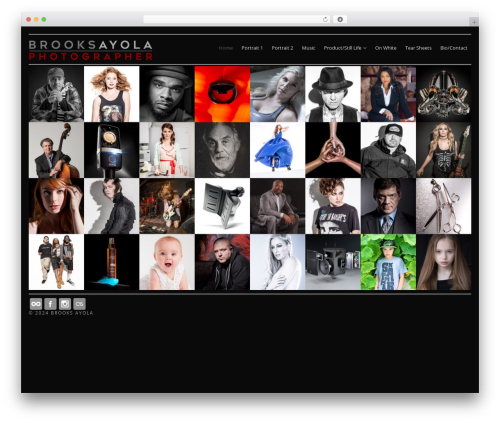Milli theme WordPress - ayola.com