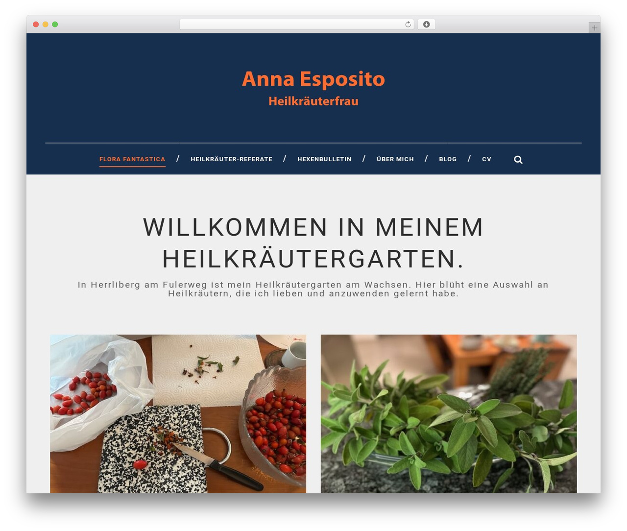 Theme WordPress Simple Article - annaesposito.ch