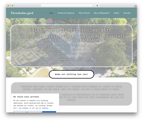 Exactmetrics premium WordPress plugin - tarneholm.se
