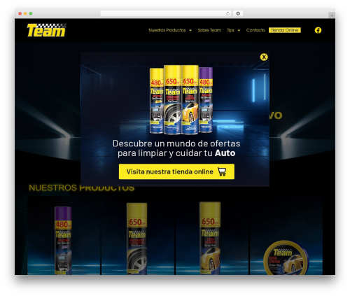 Theme customisations WordPress plugin - teamauto.cl