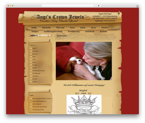 WordPress theme The Scroll - angis-crown-jewels.de