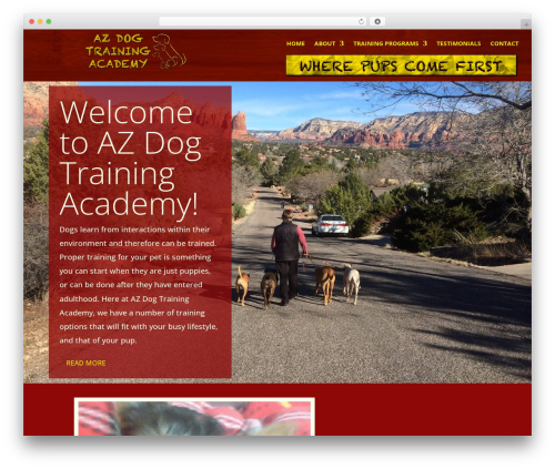 Divi WordPress theme - azdogtrainingacademy.com