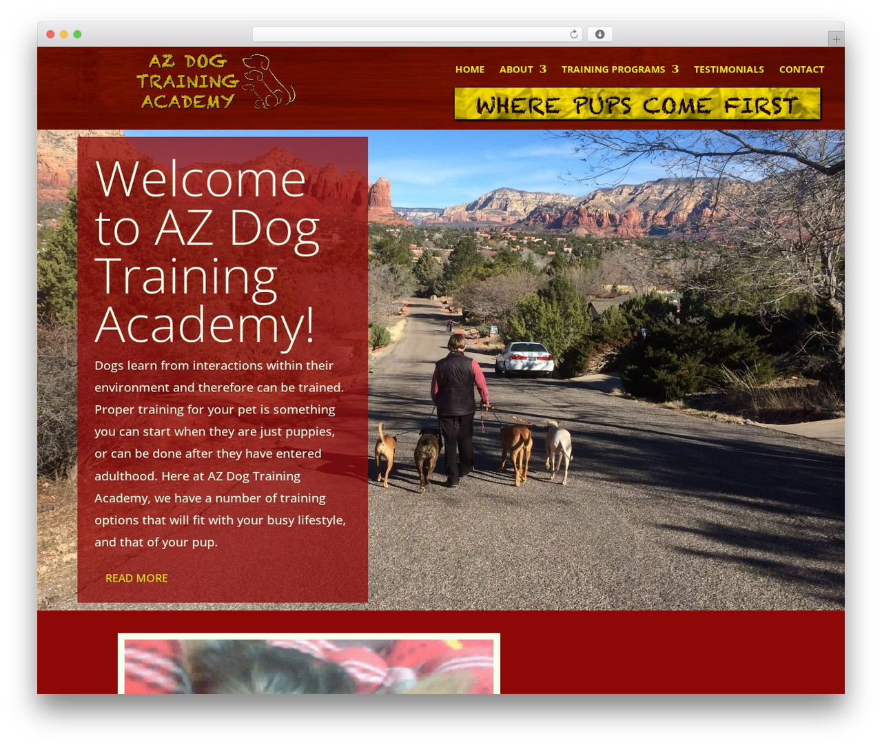AZ Dog Training Academy WordPress theme - azdogtrainingacademy.com AZ Dog Training Academy WordPress theme - azdogtrainingacademy.com