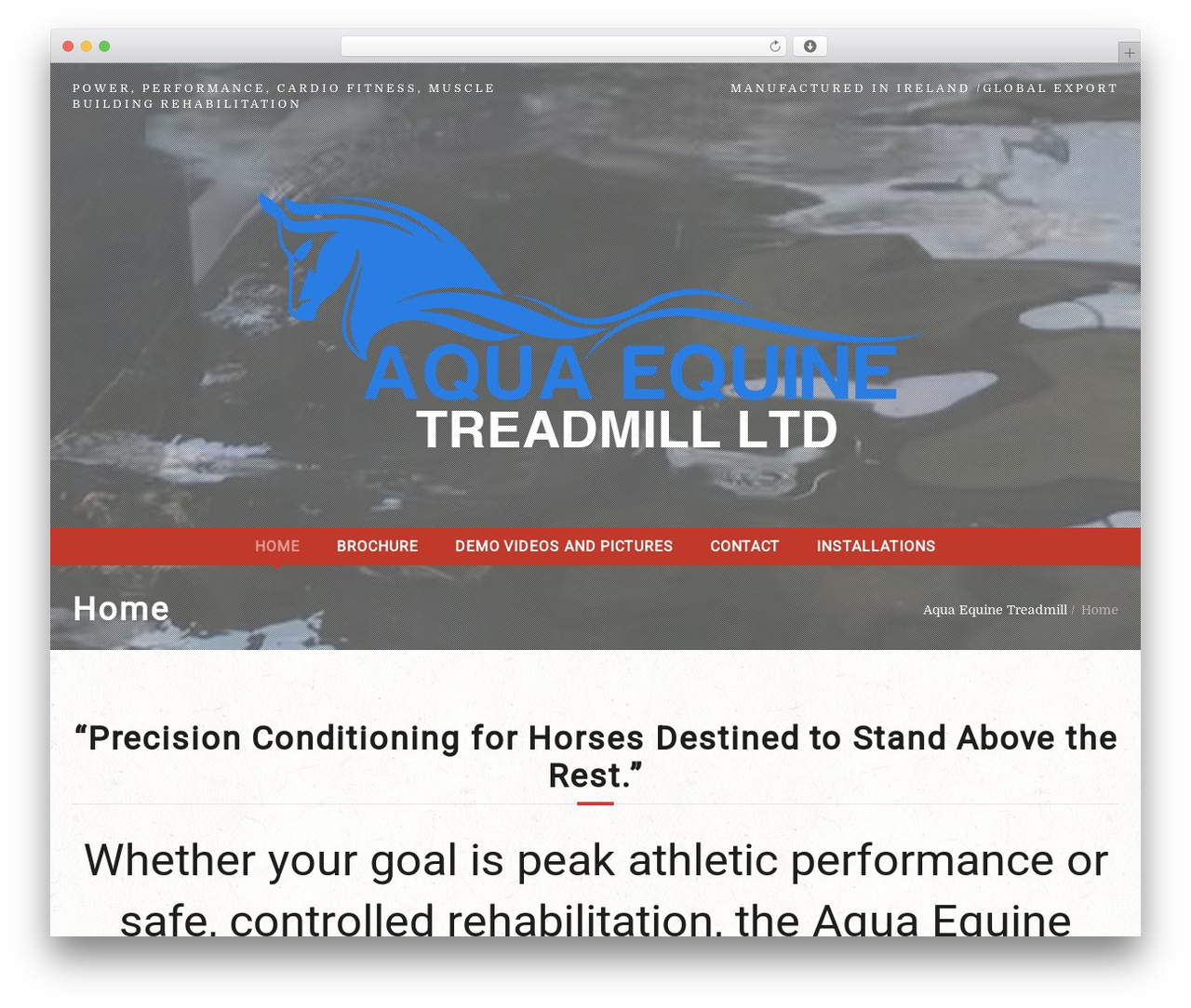 Equestrian WordPress theme - aquaequinetreadmill.com Equestrian WordPress theme - aquaequinetreadmill.com