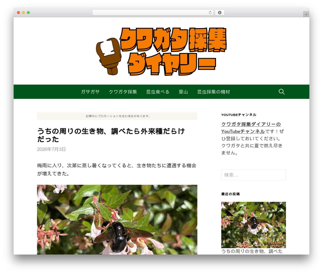 First theme WordPress - kuwagata.custom-life.net