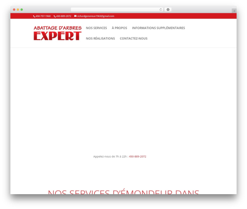 Theme WordPress template - abattagearbresexpert.com