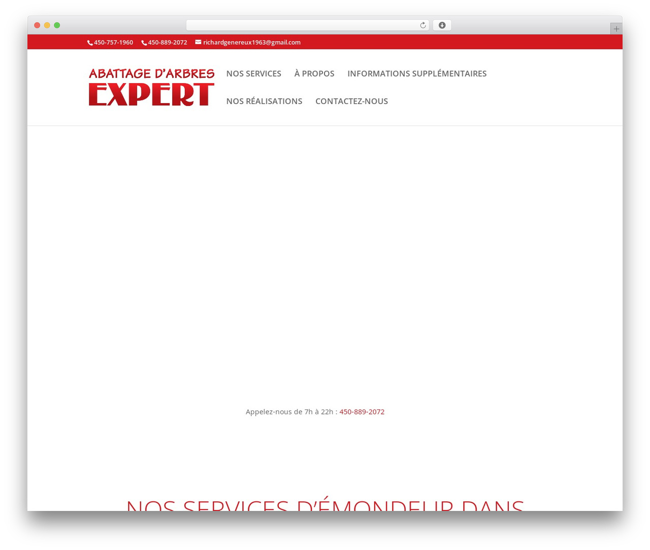 Theme WordPress template - abattagearbresexpert.com