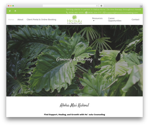 WordPress theme Megatheme - hooulucounseling.com