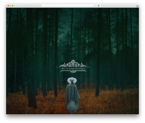 WordPress theme Superba - arts-collection.de